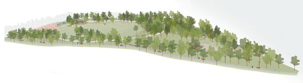 Nový lesopark Na Kolečku přináší kvalitní veřejný prostor i zvýšenou dopravní zátěž
